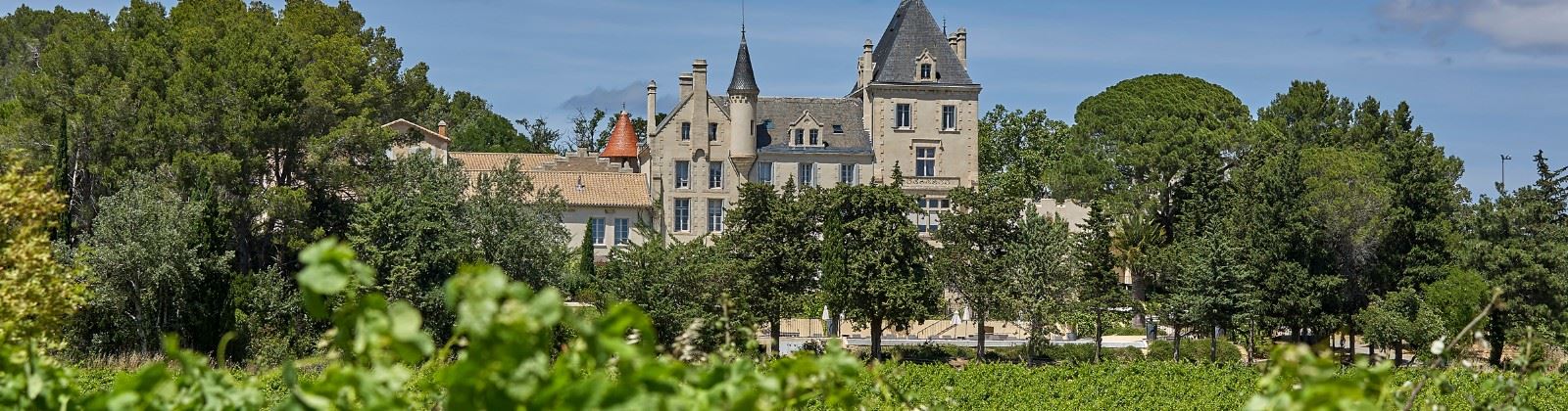 OLEVENE Image - CHATEAU -